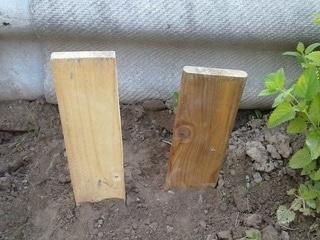 способы защиты древесины от гниения
